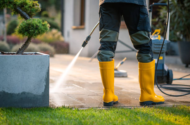 Best Pressure Washing Siding  in Chesapeake Beach, MD